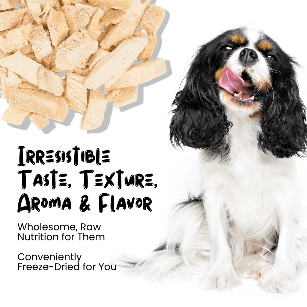 Freeze Dried Chicken Breast Treats - Sprankles for Pets