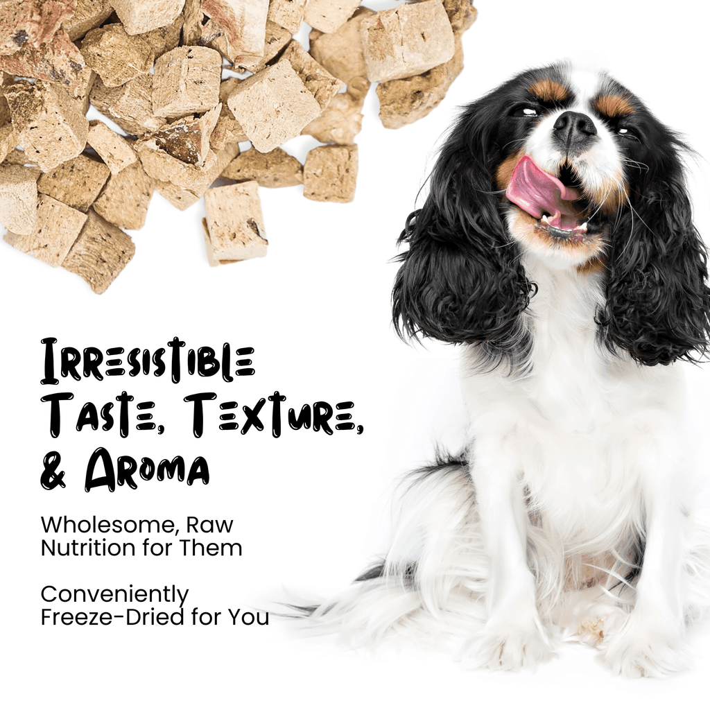 Freeze Dried Beef Liver Treats - Sprankles for Pets