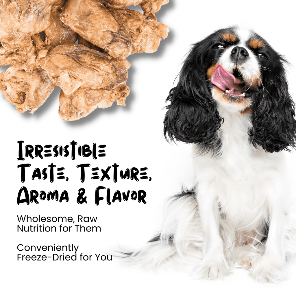 Freeze Dried Duck Heart Treats - Sprankles for Pets