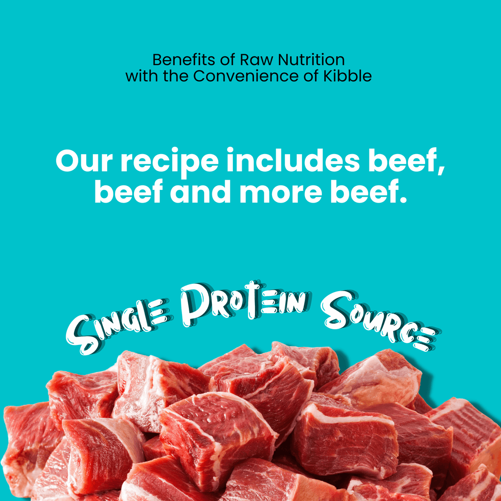 Freeze Dried Raw Beef Recipe, Meal Topper or Treat - Sprankles for Pets